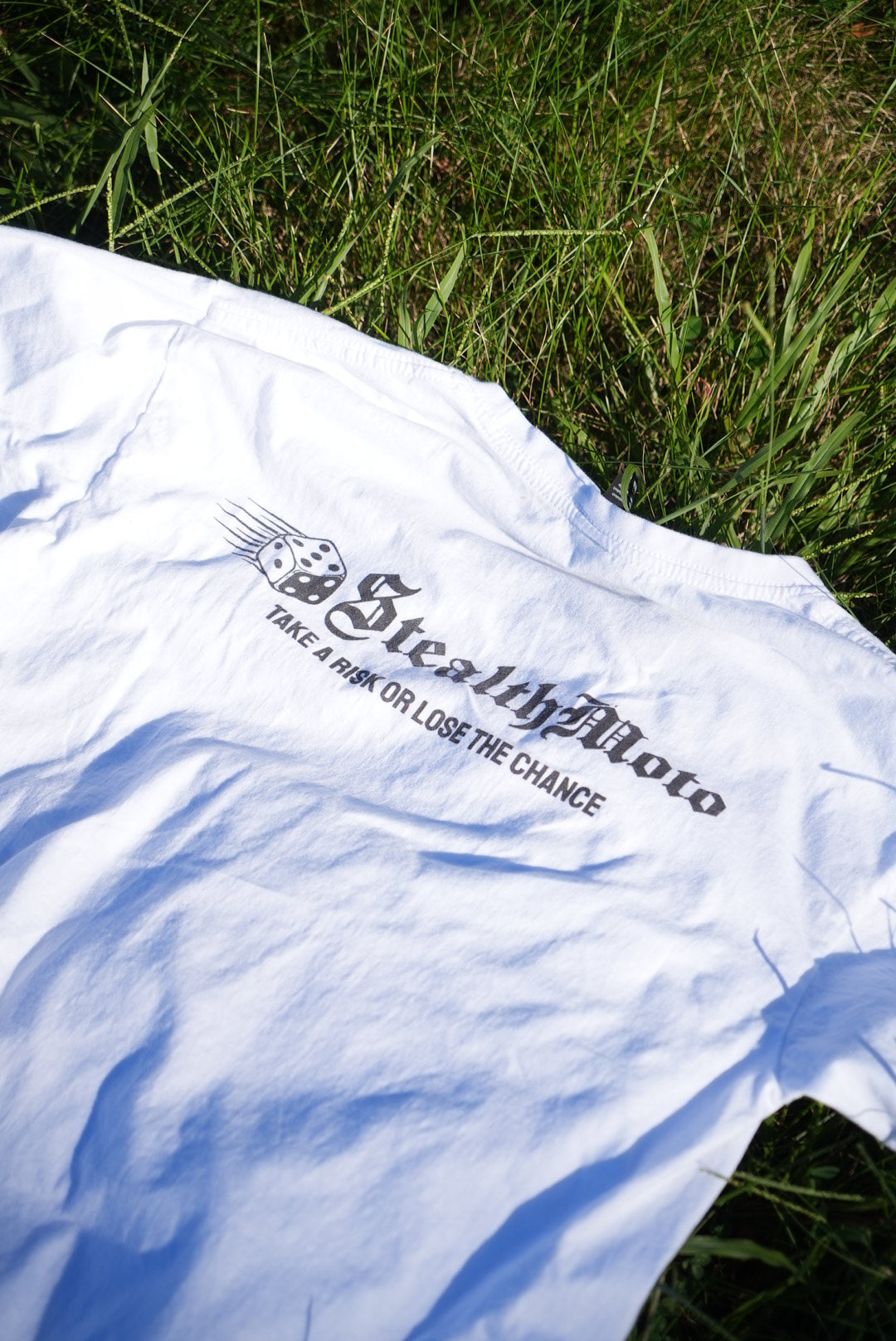 Take A Risk Tee Shirt